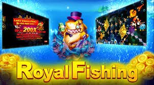 55rr1